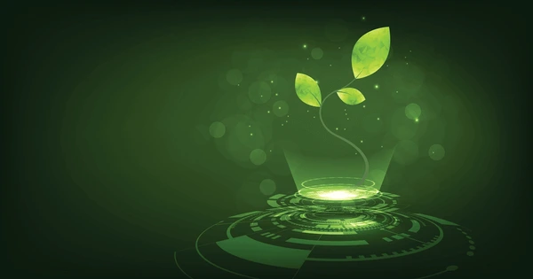 Cultivation Developer